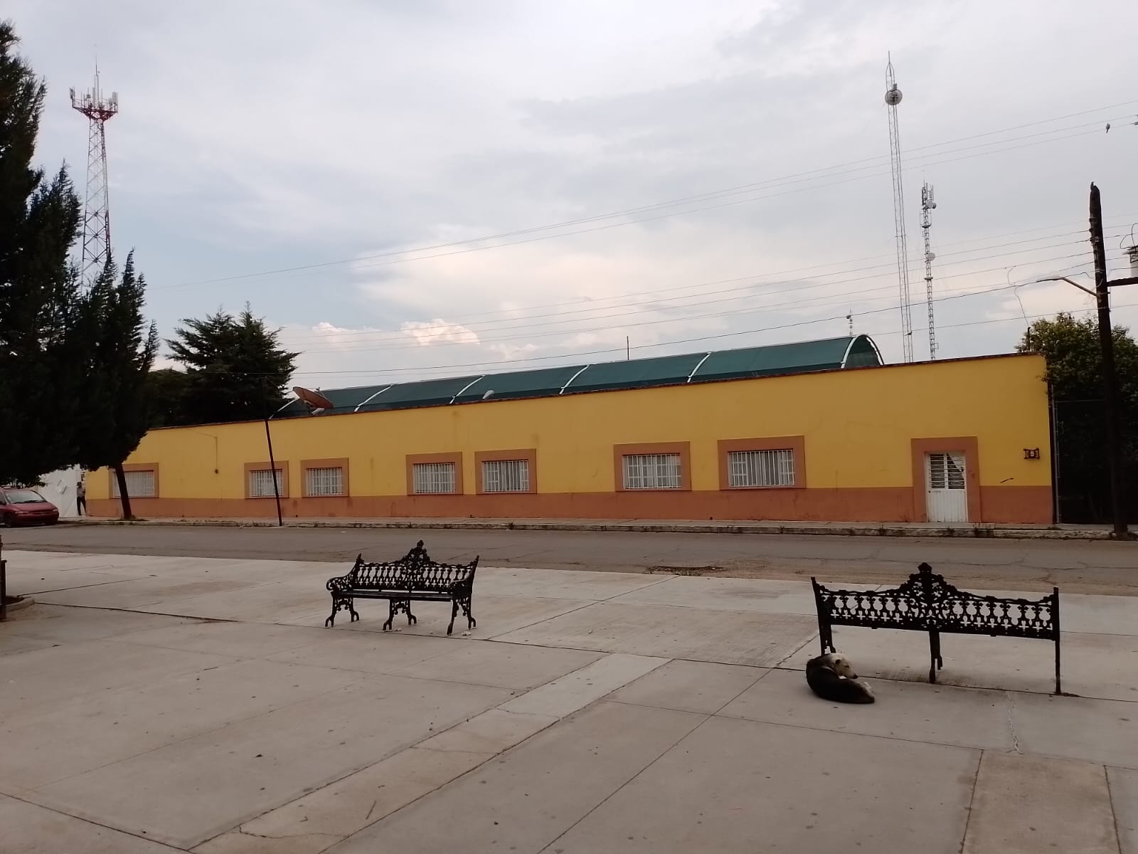 PREPARATIVOS PARA EL MURAL DOMUS 2026